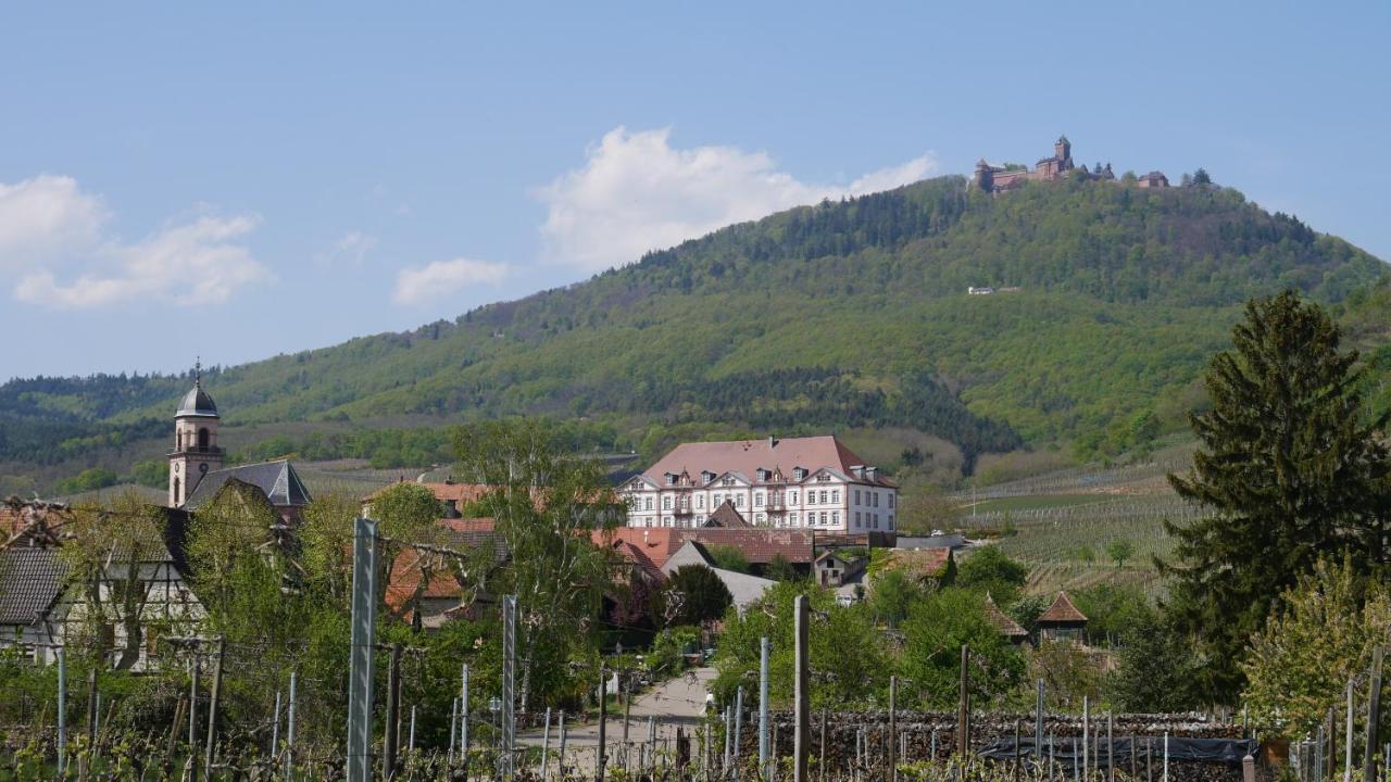 La Cour St-Fulrad - Appartements Saint-Hippolyte  Exteriör bild